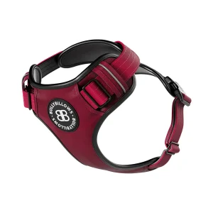 COMFORT HARNESS BURGANDY