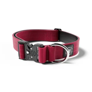 BURG_COMBAT COLLAR 4cm