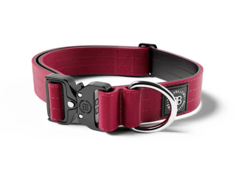 BURG_COMBAT COLLAR 4cm