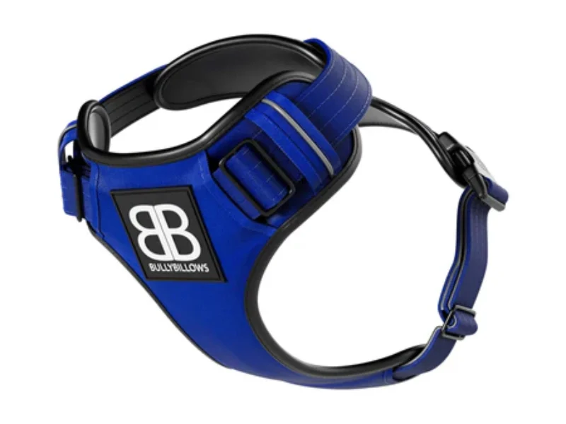 COMFORT HARNESS BLUE_256_2_450x