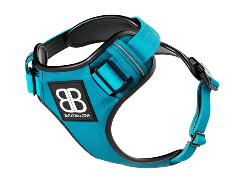 COMFORT HARNESS LIGHTBLUE_1_1