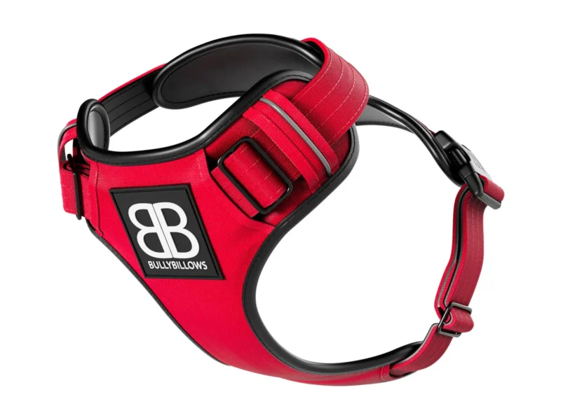 COMFORT HARNESS RED_1_1