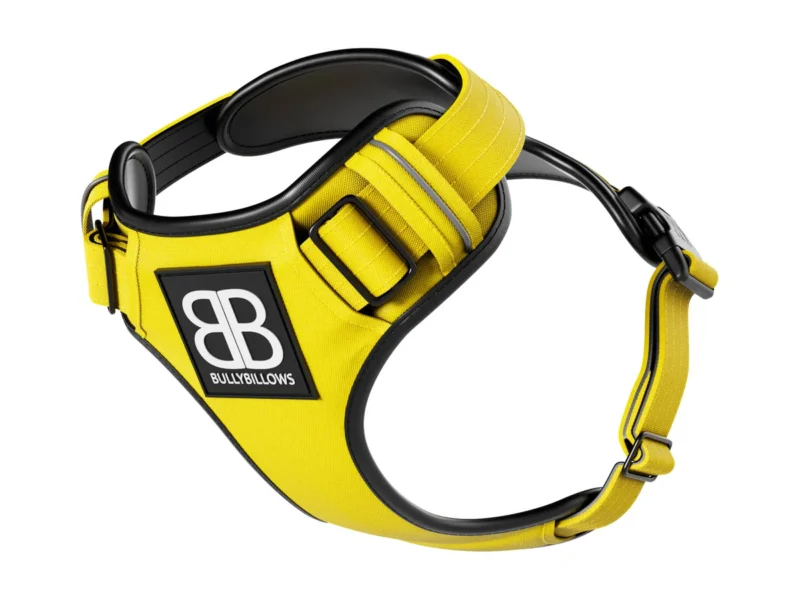 COMFORT HARNESS YELLOW_1_1