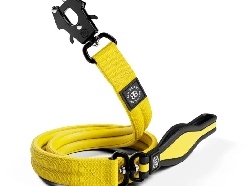 RR NYLON YELLOW