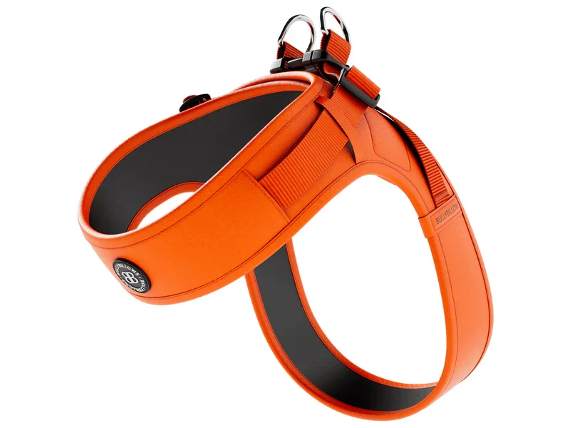 BoomerangHarness-Orange_Shot1