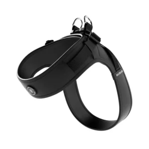 BullyBillows Boomerang Harness BLACK