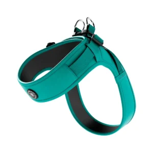 BullyBillows Boomerang Harness TEAL