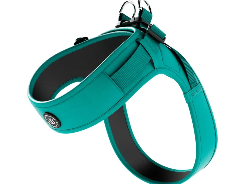 Boomerang_Teal
