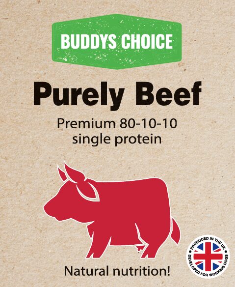 Purely-beef Purely-beef